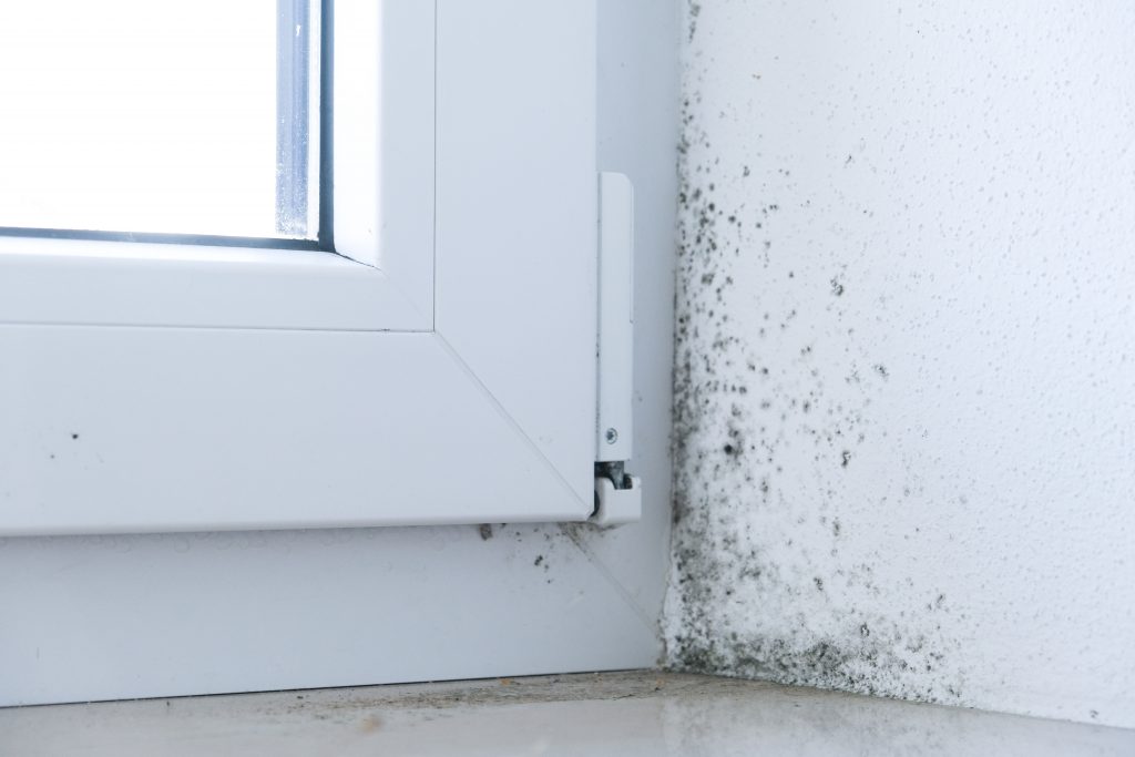 Matériau hygroscopique : une solution pour réduire la formation d'humidité et  l'apparition de moisissures