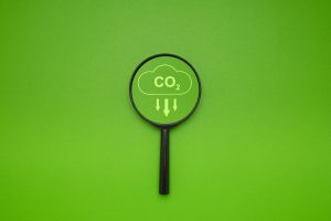 impact carbone construction réduction ic construction cellulose igloo