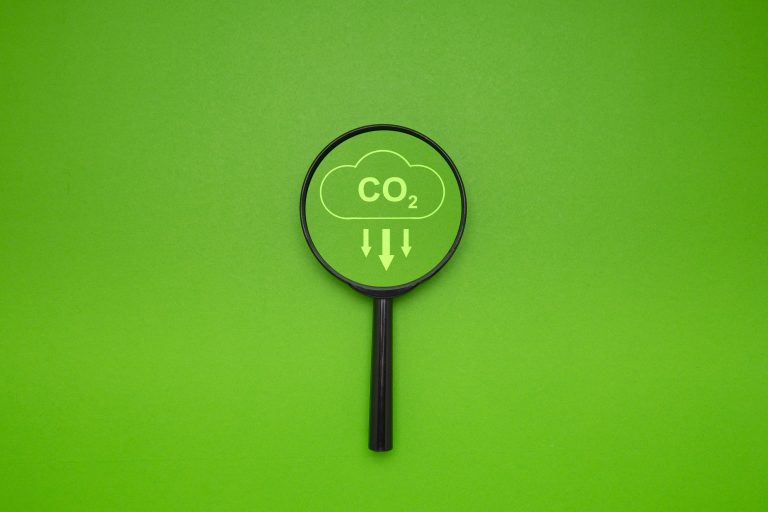 RE2020 et isolation biosourcée : comment maximiser les points carbone de vos projets ?